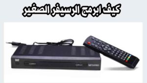 كيف أبرمج الرسيفر الصغير دانسات خطوة بخطوة مع طريقة تنزيل وحذف القنوات