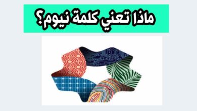 ماذا تعني كلمة نيوم؟ اكتشف مستقبل المشروع وأبرز مشاريعه في السعودية