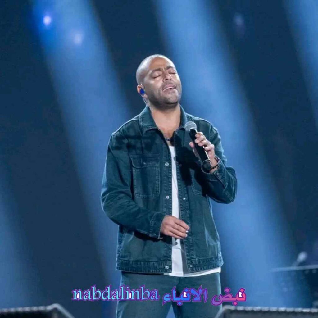 من هو الفنان تامر عاشور