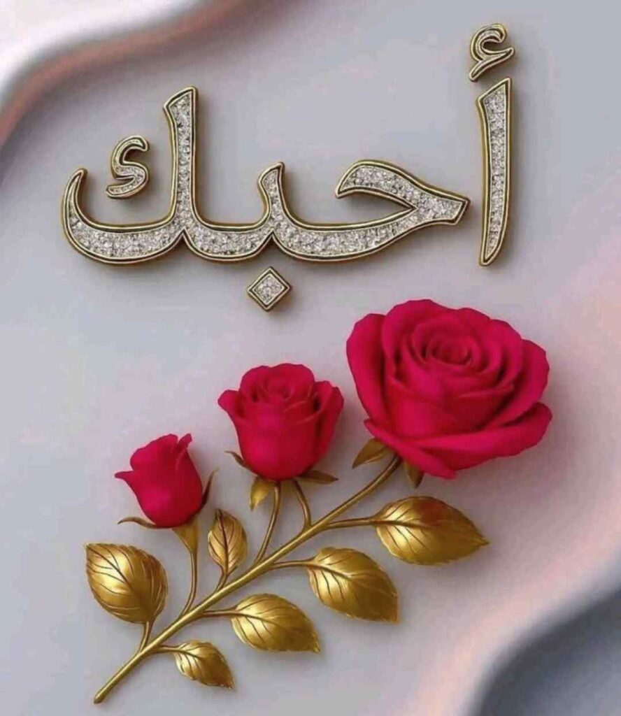 اقتباس صورة للحبيب