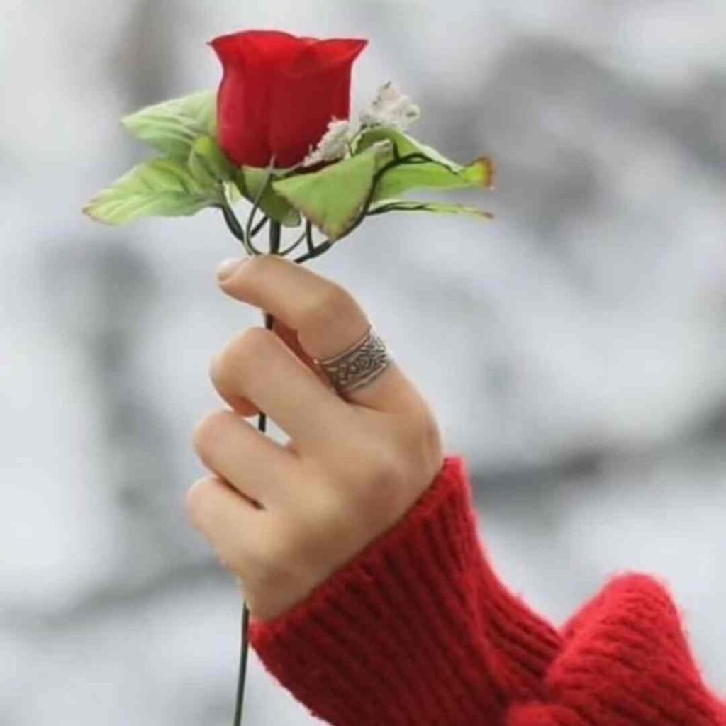 أفضل عبارات عن الجمال | عبارات عن الجمال والاناقة وجمال الوجه وكلمات بالإنجليزي وتويتر